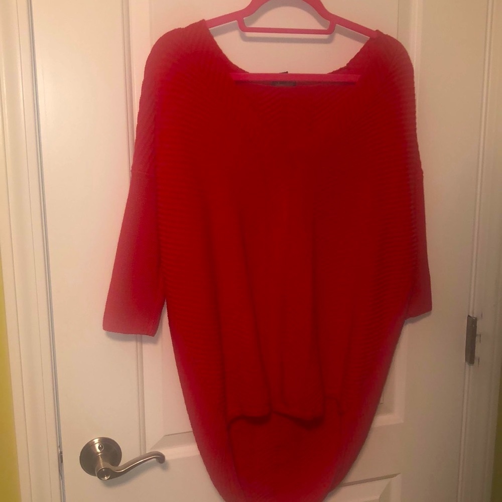 Express cozy sweater